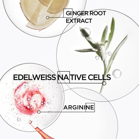 Genesis Serum Fortifiant Hair Serum Genesis Serum Fortifiant Hair Serum
